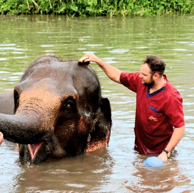 Rantong elephant sanctuary Chiangmai - Entering the camp: what “rescued elephants” means in your time with them