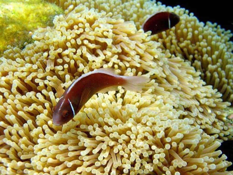 Samui: Angthong National Marine Park Day Trip by Speedboat - Who This Tour Is Best For (and Who Should Skip It)