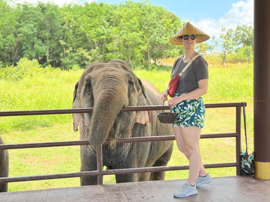 Samui:Elephant Jungle experience & The First Elephant Museum - Seed Bomb Conservation: A Hands-On Way to Support the Forest