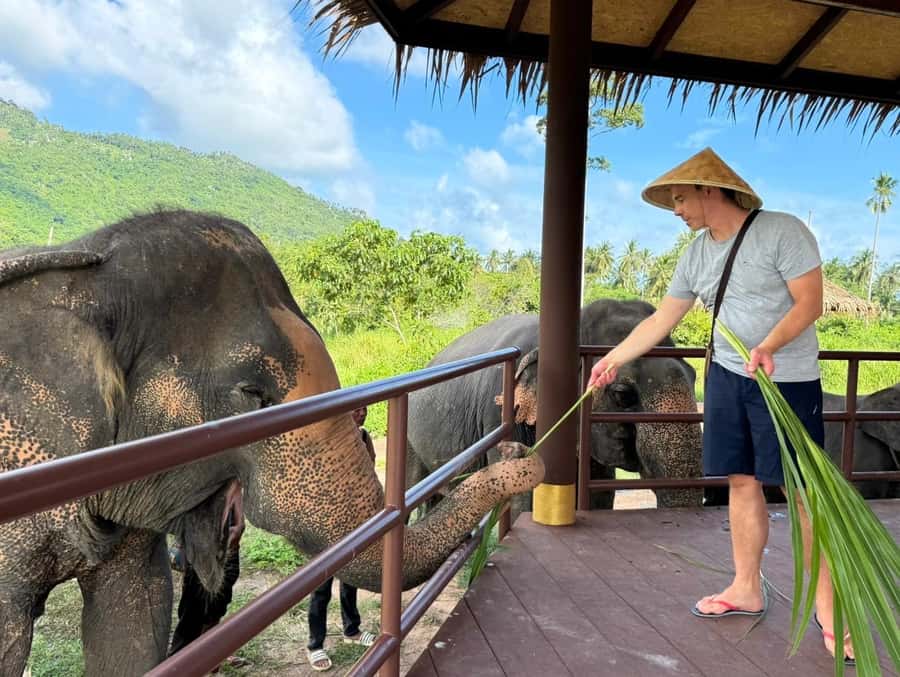 Samui:Elephant Jungle experience & The First Elephant Museum - Price and Logistics on Koh Samui: Is This Worth It?