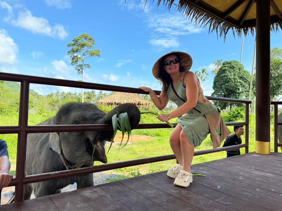 Samui:Elephant Jungle experience & The First Elephant Museum - Should You Book Samui Elephant Jungle and the First Elephant Museum?