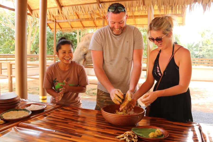 Samui: Elephant Nutrition and Care Education Experience - Why Koh Samui’s Elephant Home Thinks Nutrition Comes First