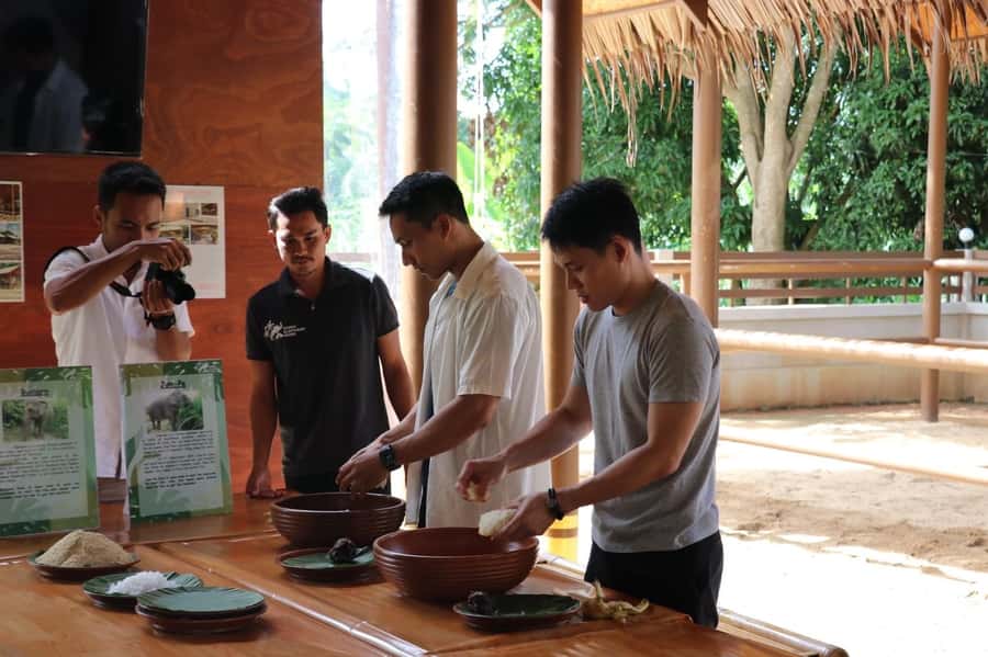 Samui: Elephant Nutrition and Care Education Experience - Ethical Elephant Care in Thailand: Rescue, Training, and Conservation Mindset