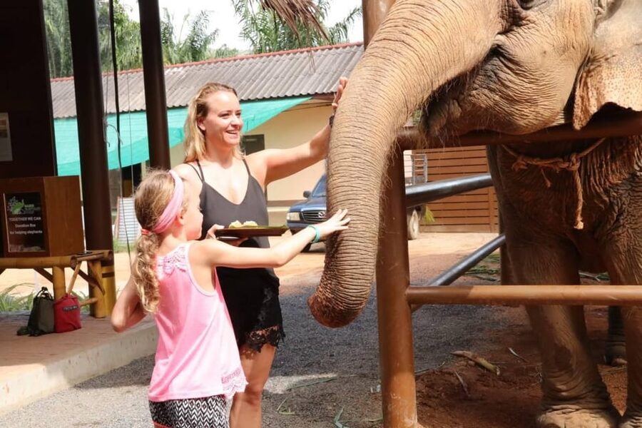 Samui: Elephant Nutrition and Care Education Experience - Price and Value: Is $32 Worth It?