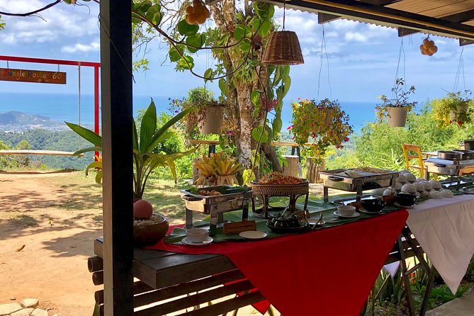 Samui X Quad ATV Tour (1 Driver) with Lunch - What you really get for the money: transfers, time, and included extras