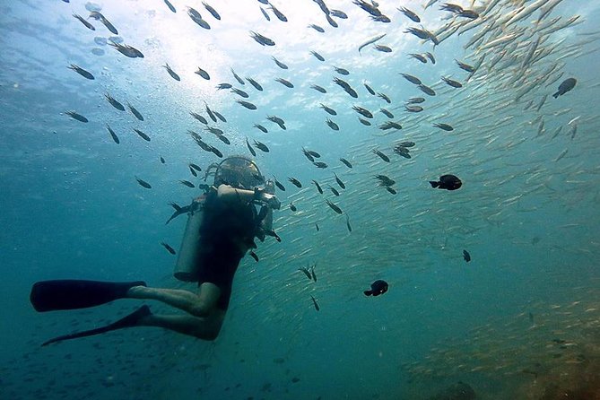 Scuba Diving Day Trip at Koh Chang – 2 Dives - Key Highlights You’ll Care About