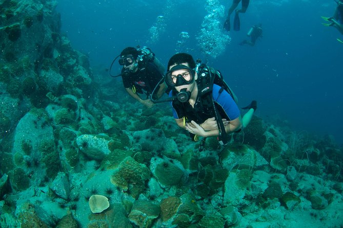 Scuba Diving Day Trip at Koh Chang – 2 Dives - Price and Value: What You’re Actually Paying For