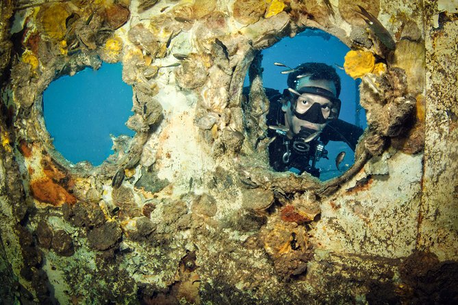 Scuba Diving Day Trip at Koh Chang – 2 Dives - Final Call: Should You Book This Ko Chang 2-Session Trip?