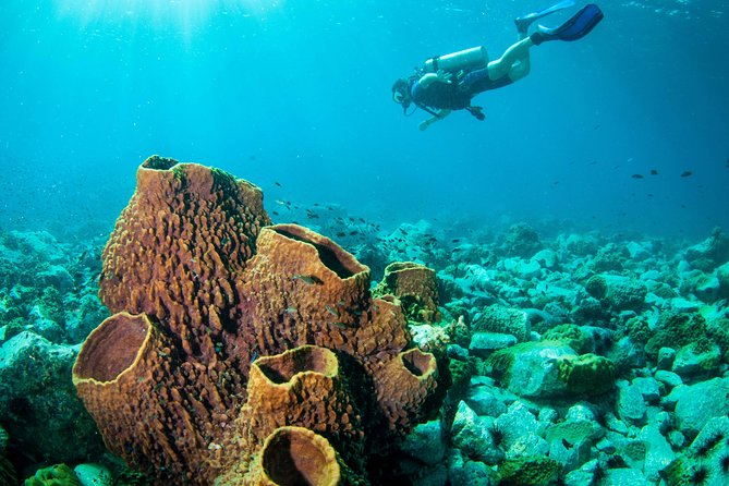 Scuba Diving Day Trip at Koh Chang – 2 Dives - The 8:00 Start and the Pace That Keeps You Comfortable