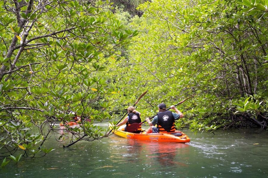 Sea Kayaking in Ao Thalane & Optional Full-Day Hong Island - Key things I’d plan for before you go
