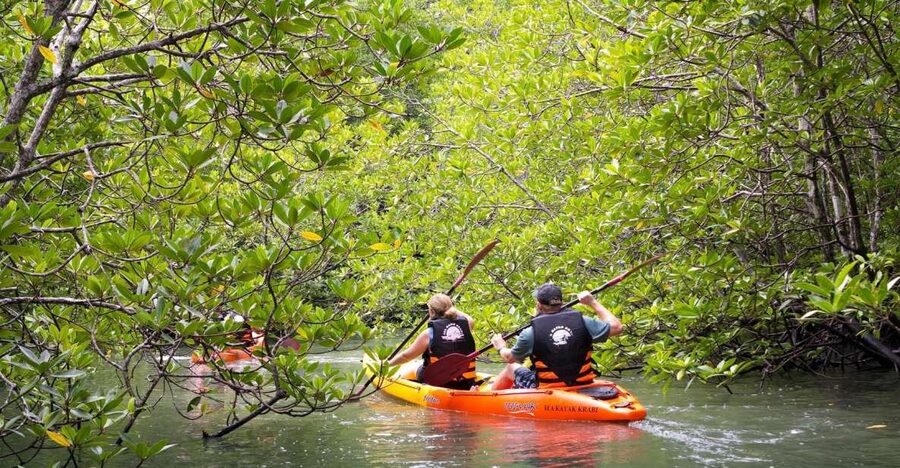 Sea Kayaking in Ao Thalane & Optional Full-Day Hong Island - Price and value: what about $37 gets you