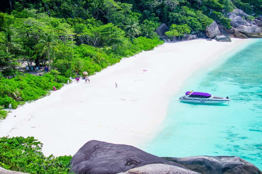 Similan Island Snorkeling Crystal Waters & Marine Life - Price and Logistics: Is $131 a Good Deal?