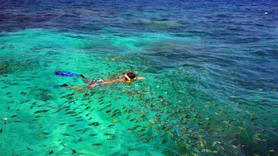 Similan Islands Early-Bird Tour From Phuket and Khao Lak!