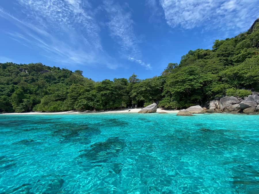 Similan Islands Early-Bird Tour From Phuket and Khao Lak! - Guides, language support, and the wildlife-spotting advantage