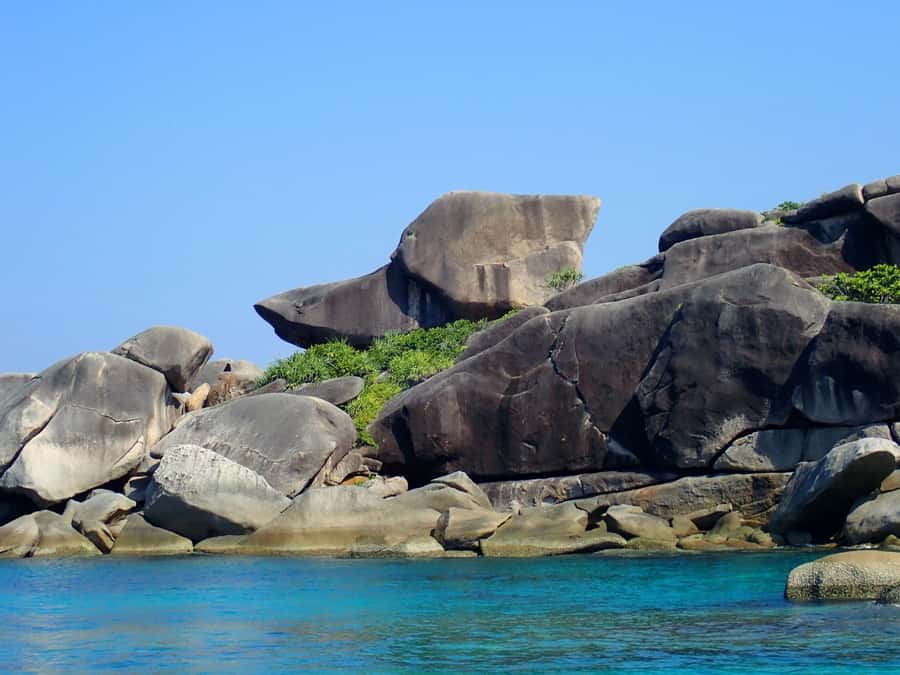 Similan Islands Early-Bird Tour From Phuket and Khao Lak! - Price and value: what $125 covers, and why it feels fair