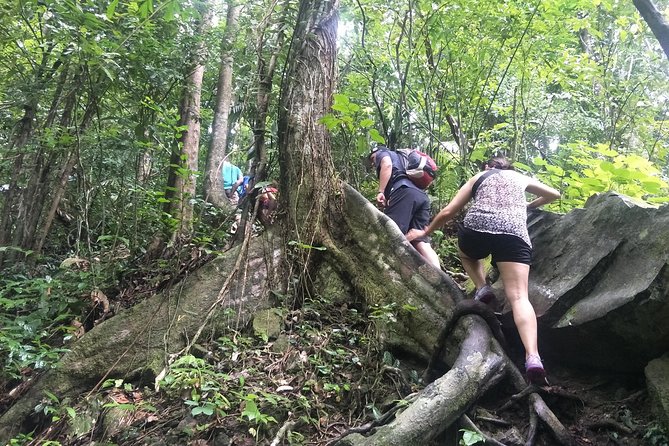 Small-Group Jungle Hiking Excursion in Khao Phra Teaw Park - Khao Phra Teaw Jungle Hike, Where Your Day Starts