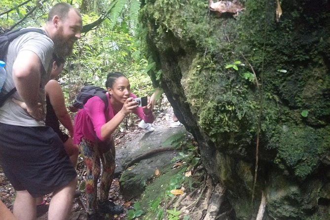 Small-Group Jungle Hiking Excursion in Khao Phra Teaw Park - Waterfalls at Ton Sai and Bang Pae: The Best Break in the Humid Green