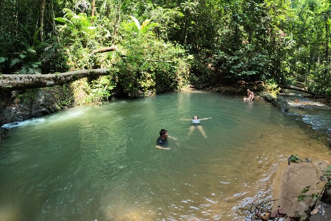 Small-Group Jungle Hiking Excursion in Khao Phra Teaw Park - Khao Phra Thaeo National Park: What You Walk Through