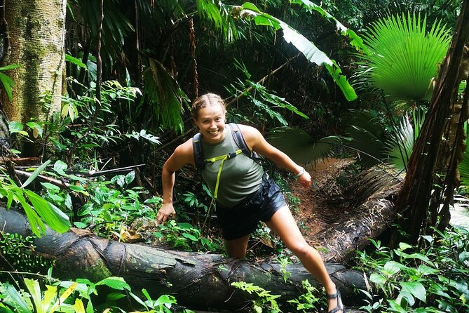 Small-Group Jungle Hiking Excursion in Khao Phra Teaw Park - Lunch Like a Local, Not a Food Court