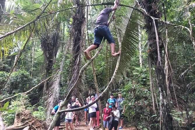 Small-Group Jungle Hiking Excursion in Khao Phra Teaw Park - Pace and Group Size: Small Enough for Nature, Not Too Slow