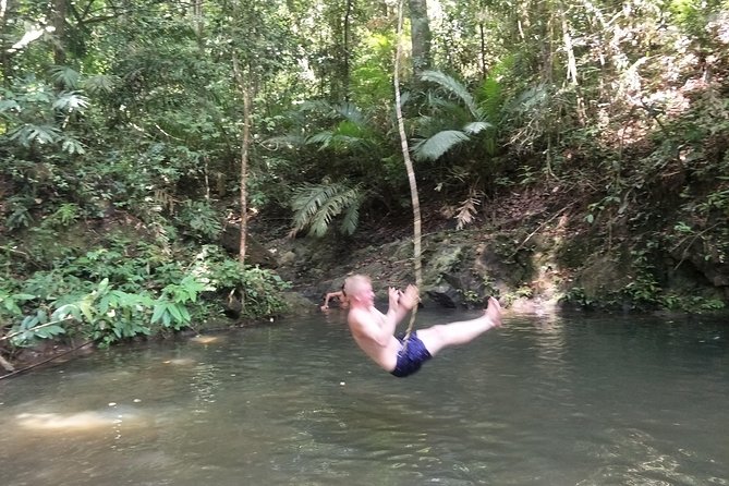 Small-Group Jungle Hiking Excursion in Khao Phra Teaw Park - Price and Value: What You Really Get for About $78
