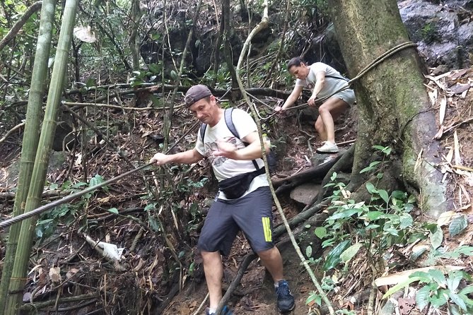 Small-Group Jungle Hiking Excursion in Khao Phra Teaw Park - Getting Your Feet Right: Rocky Trail, Humidity, and Wet Shoes