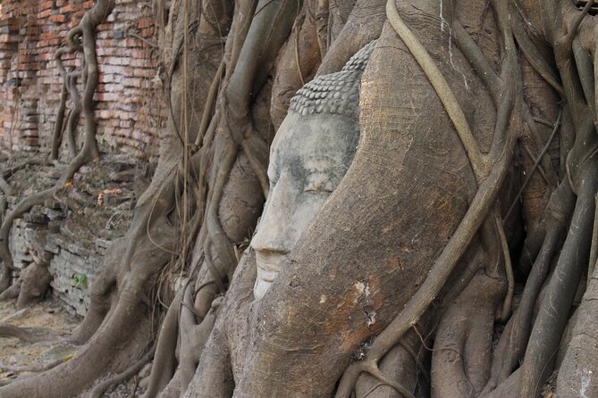 Small Group Tour to Ayutthaya Temples from Bangkok with Lunch - Wat Mahathat And The Bodhi Tree Roots: Your Photo Moment With a Story