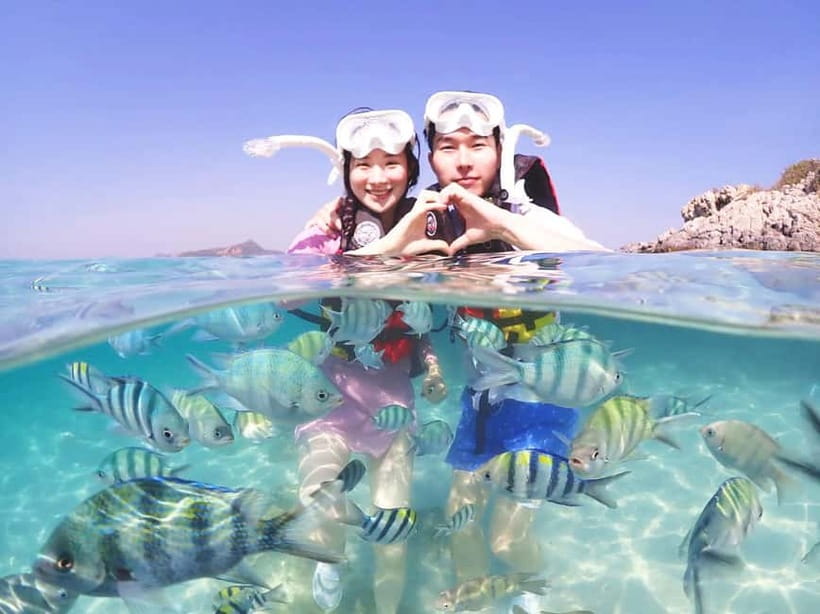 Snorkel & Chill: Nemo Island Trip from Pattaya - Key highlights to know before you go