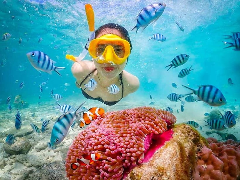 Snorkel & Chill: Nemo Island Trip from Pattaya - Nemo Island from Pattaya, what makes it feel different