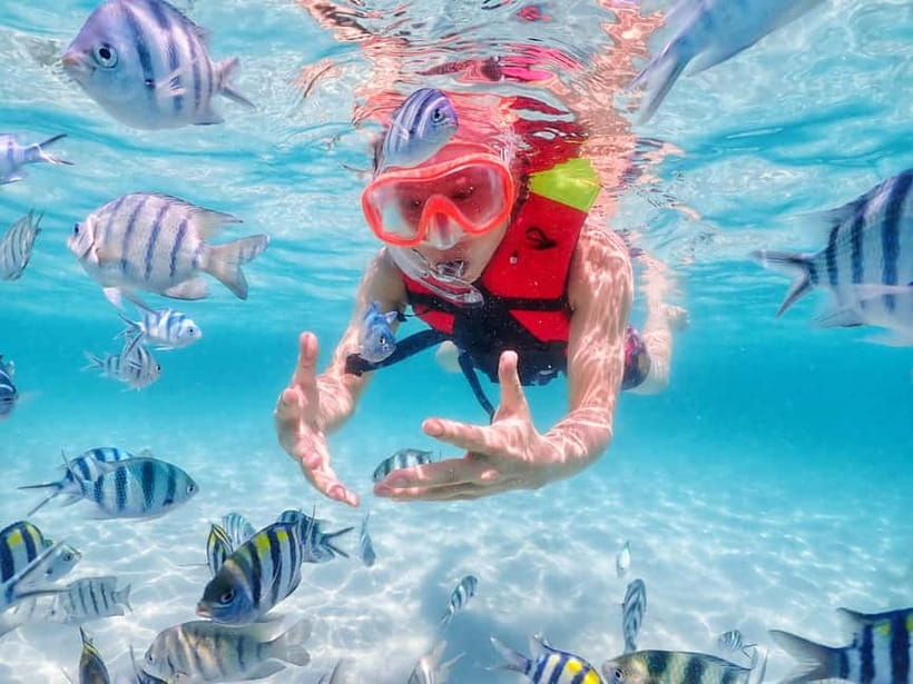 Snorkel & Chill: Nemo Island Trip from Pattaya - Samesan snorkeling: clear water, clownfish odds, and variable coral