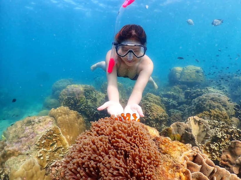 Snorkel & Chill: Nemo Island Trip from Pattaya - Koh Chuang and Koh Jan: two or three spots that keep it interesting