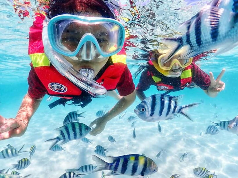 Snorkel & Chill: Nemo Island Trip from Pattaya - Getting to and from your hotel in Pattaya City
