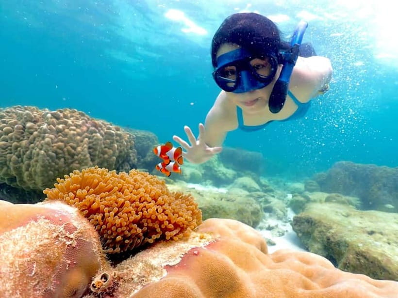 Snorkel & Chill: Nemo Island Trip from Pattaya - Price and what you’re really paying for