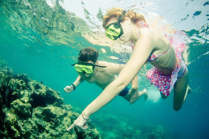 Snorkeling Adventure at Koh Chang – Departing from Koh Chang - Price and Logistics: What $32.60 Buys in Real Life