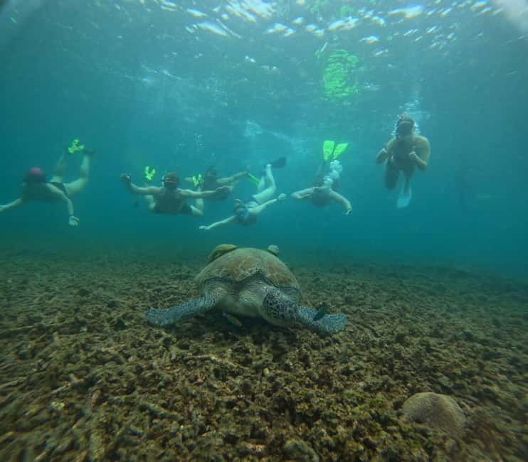 Snorkeling Tour with meals and BBQs - Cocktail - Sunset⭐⭐⭐⭐⭐ - The Small-Boat Advantage: Space, Attention, and Better Snorkel Timing