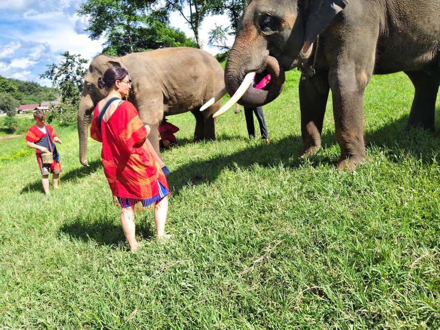 Sticky waterfalls- Elephants- Bamboo or White water rafting. - Key things I’d plan around