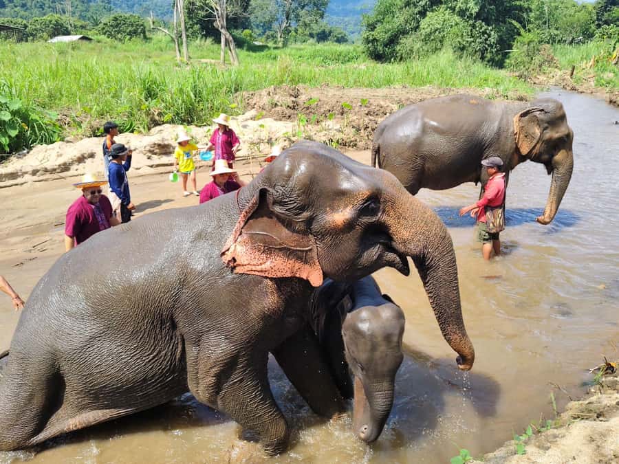 Sticky waterfalls- Elephants- Bamboo or White water rafting. - Optional add-ons: Long neck village and Tiger Kingdom