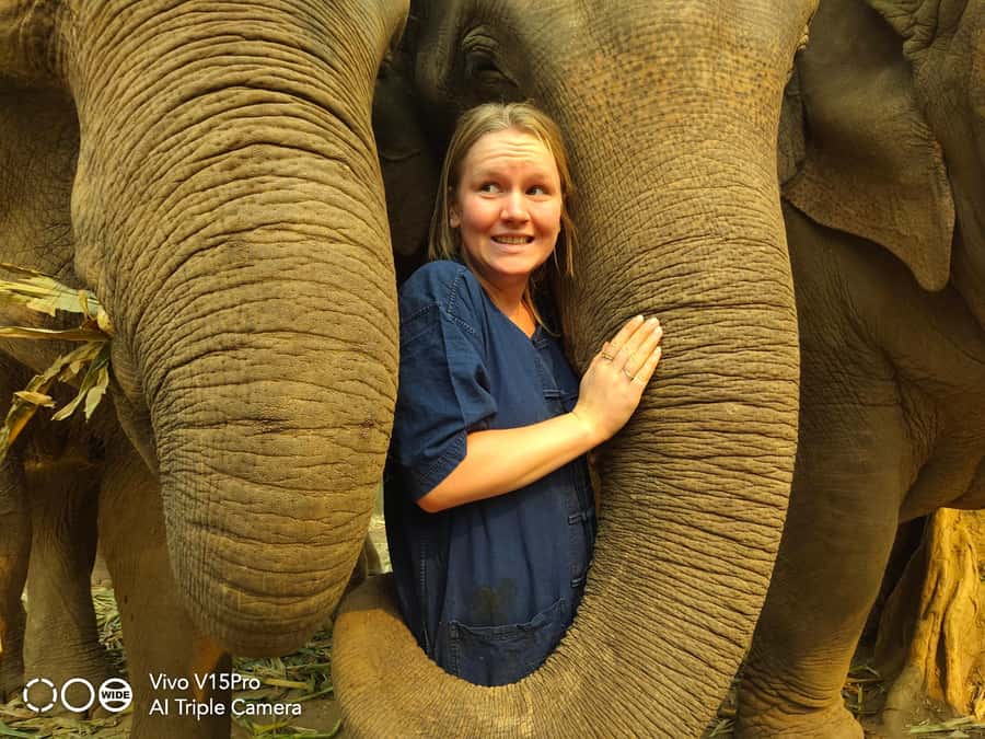 Sticky waterfalls- Elephants- Bamboo or White water rafting. - What $112 buys you, and where the value really is