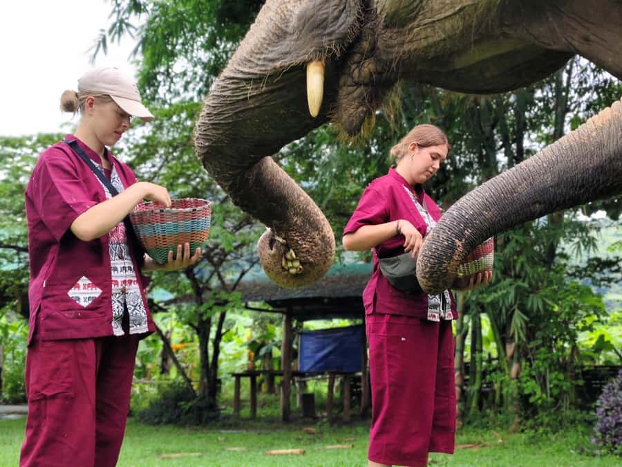 Sticky waterfalls- Elephants- Bamboo or White water rafting. - Hotel pickup and the van ride, with less stress