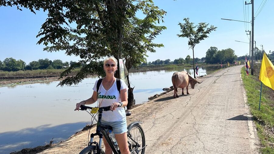 Sukhothai: Half-Day Countryside Bike Tour - Why this half-day bike tour beats a typical checklist day
