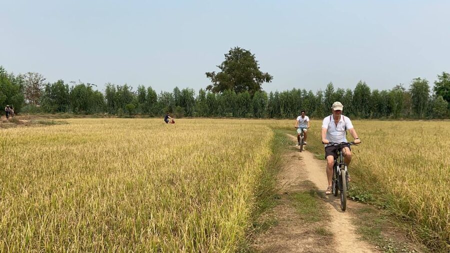 Sukhothai: Half-Day Countryside Bike Tour - Canal cycling and the wood furniture workshop stop