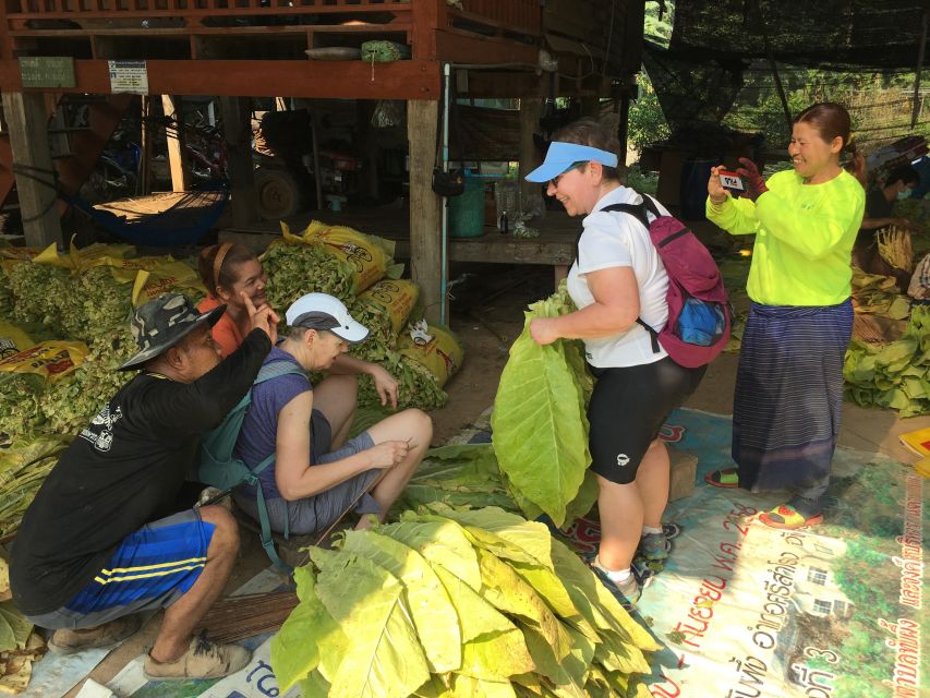 Sukhothai: Half-Day Countryside Bike Tour - Seasonal work: planting next crop and how that adds meaning