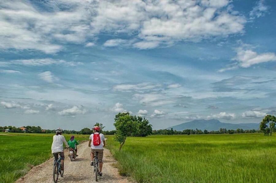 Sukhothai: Half-Day Countryside Bike Tour - Rice whiskey tasting: when you can try it, keep it fun