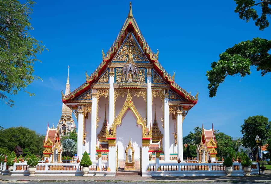Temple and Jungle Trekking tour with Lunch at Farm-to-Table - Tips to Make the Most of Your 5 Hours