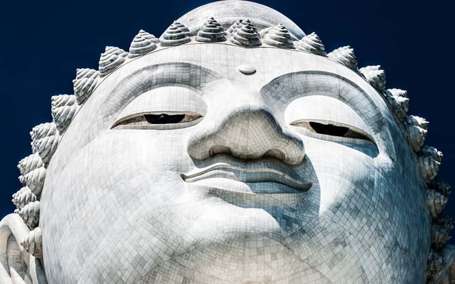 Temple and Jungle Trekking tour with Lunch at Farm-to-Table - Big Buddha From Behind: Photos, Views, and the Closure Reality