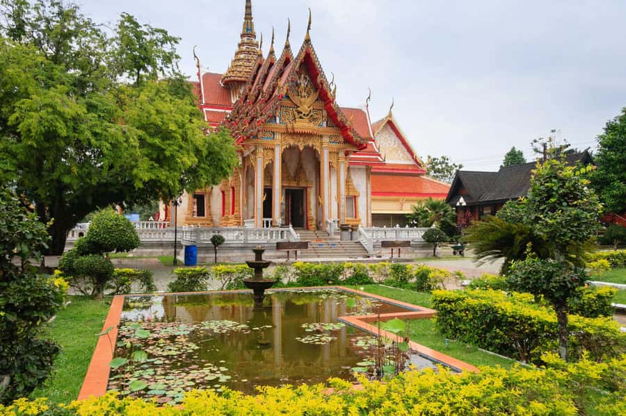 Temple and Jungle Trekking tour with Lunch at Farm-to-Table - Price and Value for $49 in Phuket