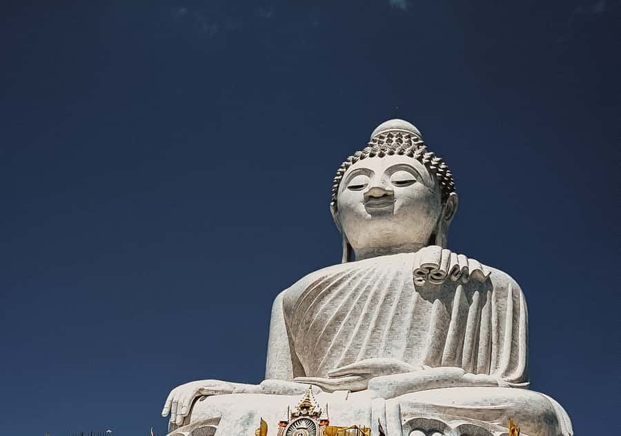 Temple and Jungle Trekking tour with Lunch at Farm-to-Table - Pickup in Kata-Karon and the 10:30am Start
