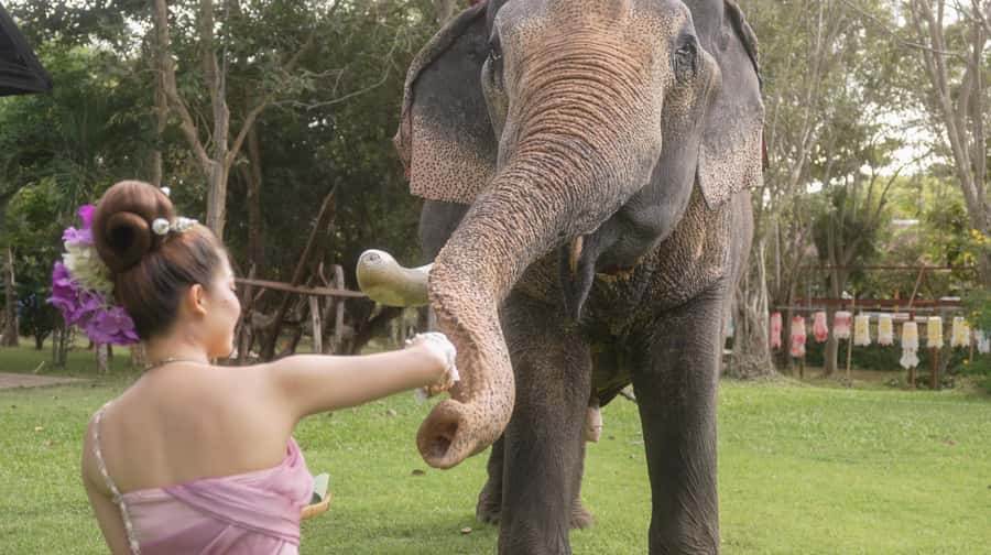Thai Thani Cultural Village Admission Ticket ( PACKAGE - B ) - Thai costume time, clean outfits, and photo chances
