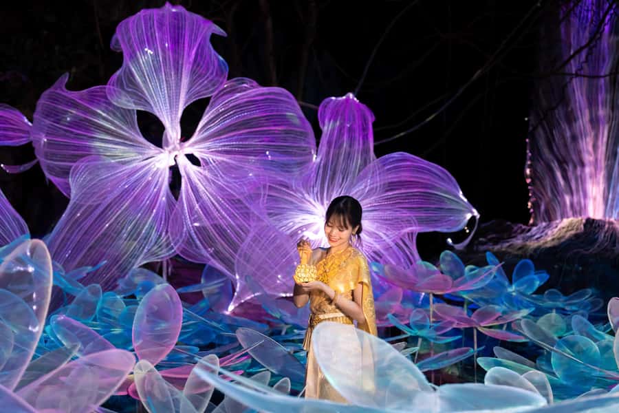 The Lens: Once-a-Year Moment at Na Satta Park Light Festival - Maeklong Railway Market: Time It Right, Then Watch the Stalls Fold