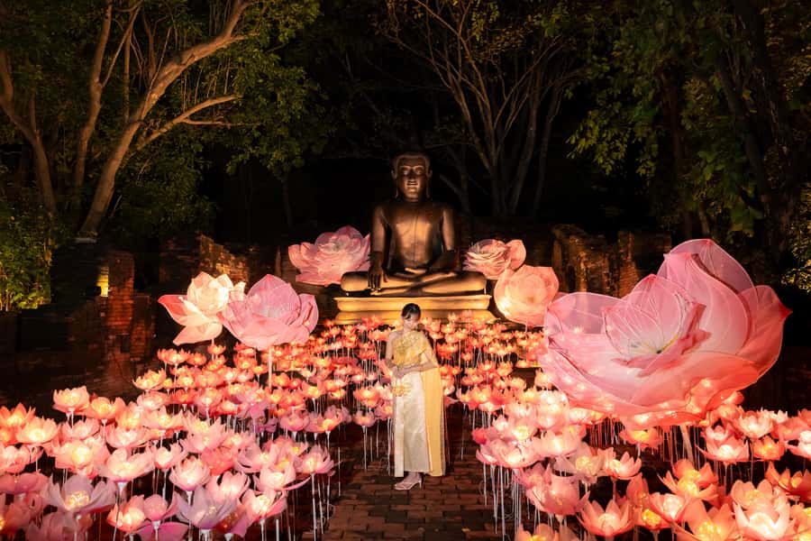 The Lens: Once-a-Year Moment at Na Satta Park Light Festival - Secret Cafe and Street Food Market: Small Bites, Big Flavor Variety
